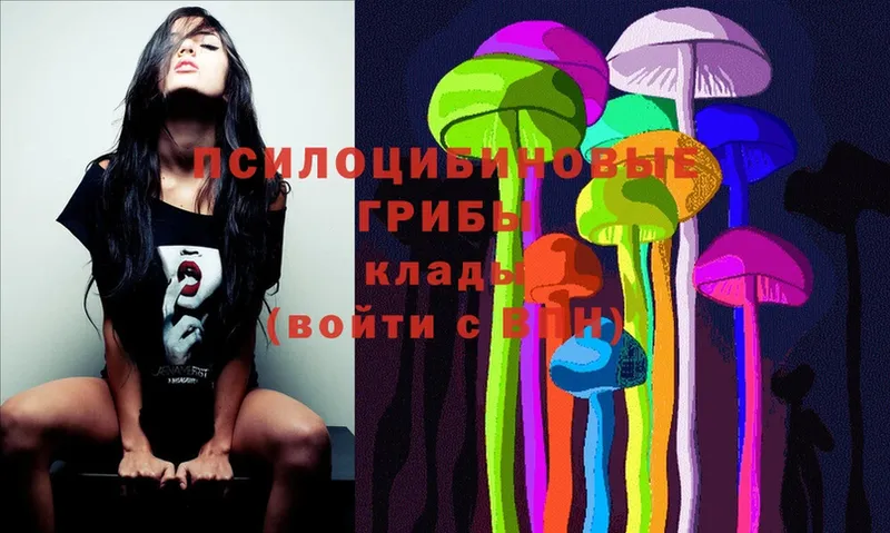 Галлюциногенные грибы Psilocybe  купить наркотик  Дегтярск 